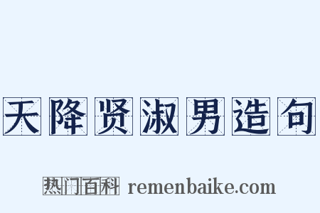 天降贤淑男造句是什么意思的图片